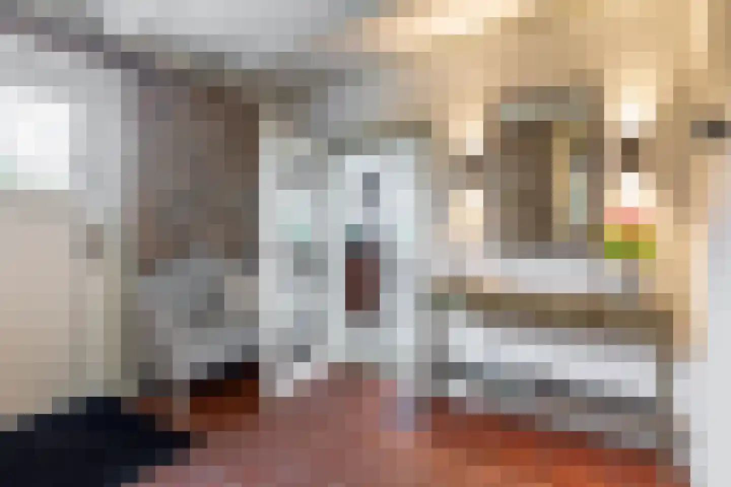 Raadhuisstraat 32 Sprang-Capelle thumbnail 10