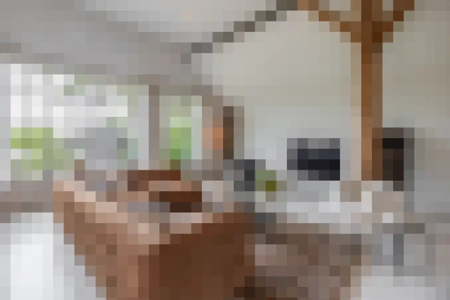 Raadhuisstraat 32 Sprang-Capelle thumbnail 12