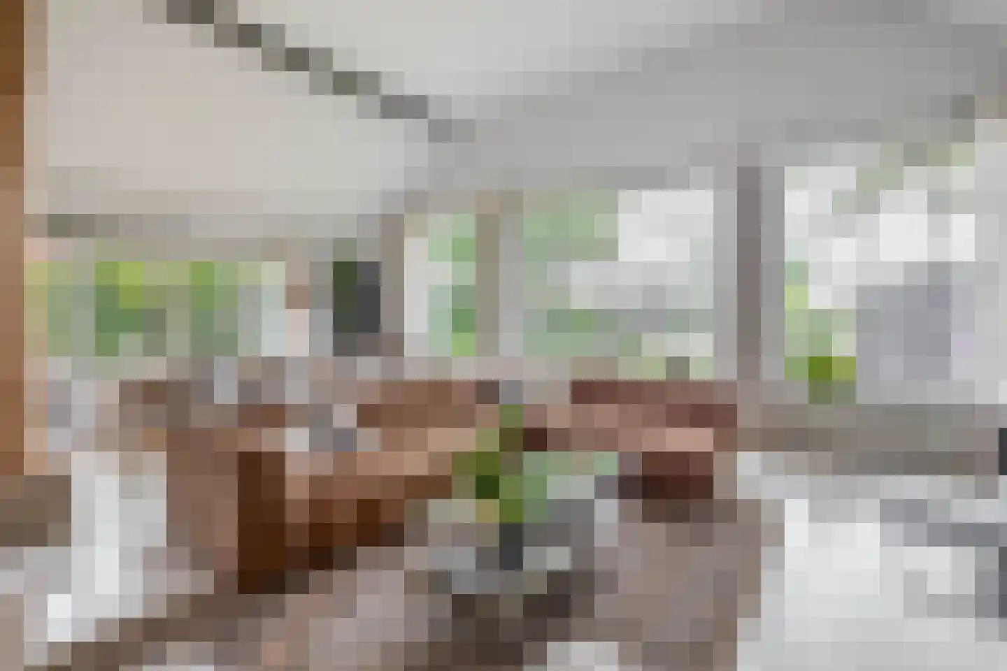 Raadhuisstraat 32 Sprang-Capelle thumbnail 14