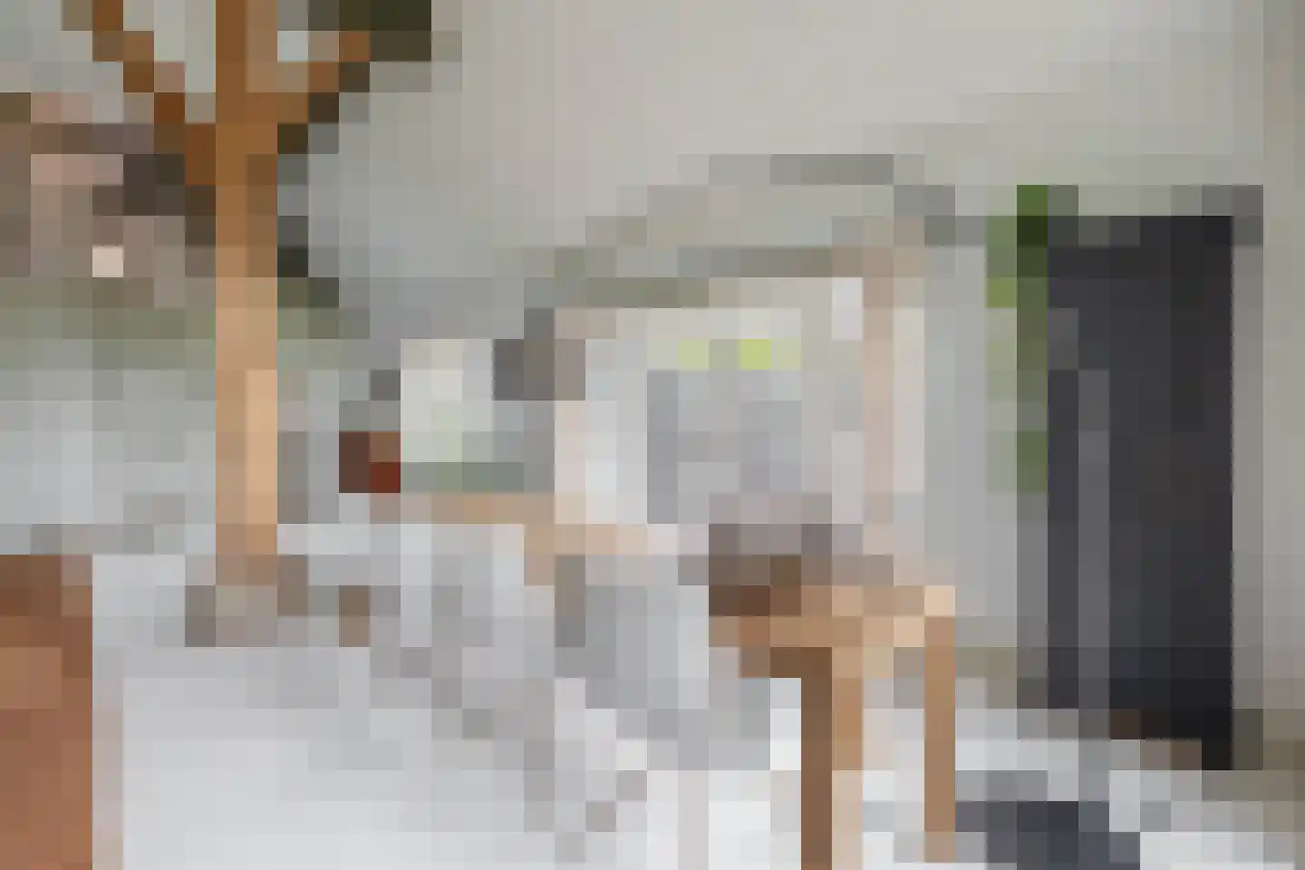 Raadhuisstraat 32 Sprang-Capelle thumbnail 15
