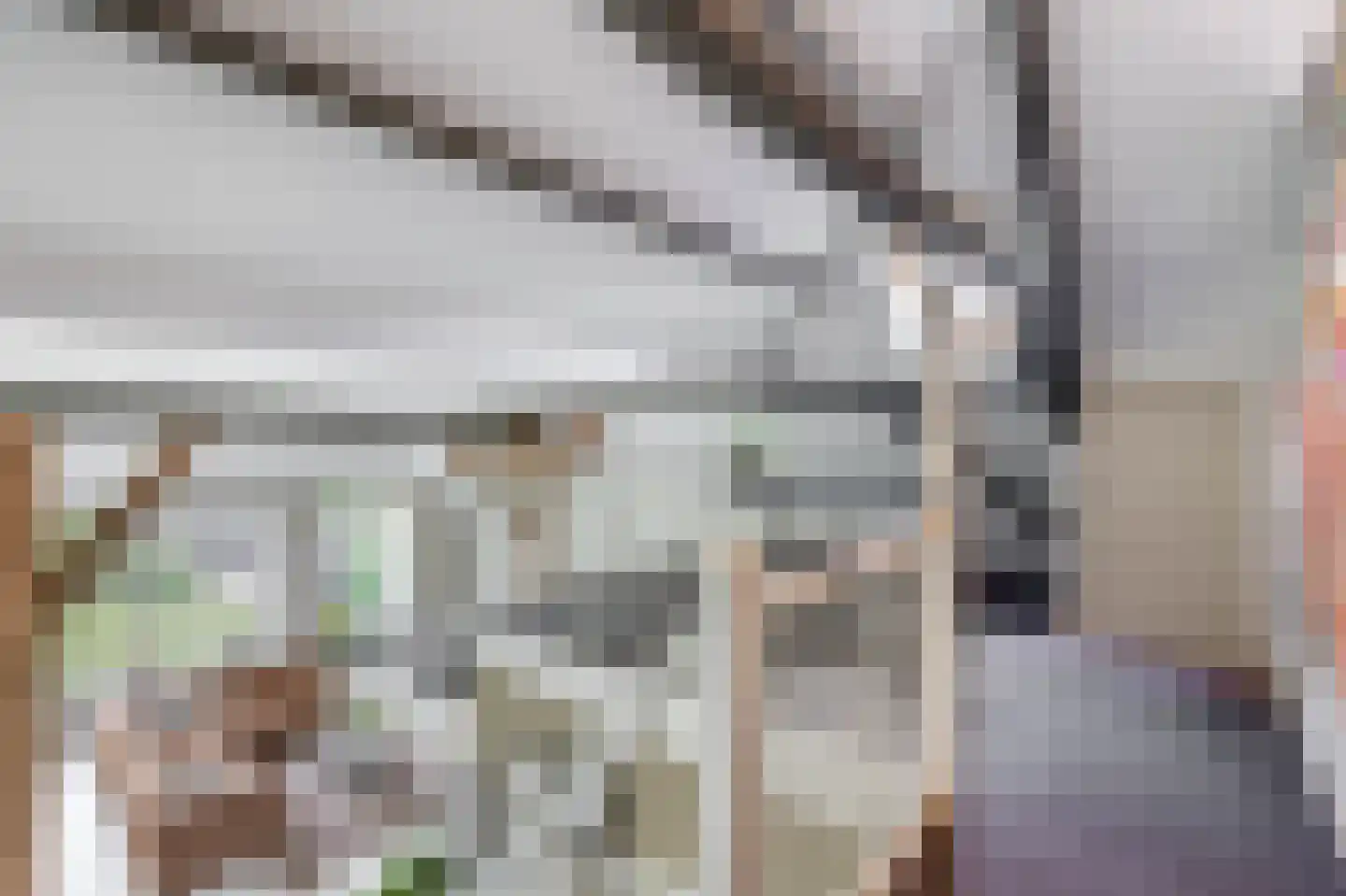 Raadhuisstraat 32 Sprang-Capelle thumbnail 34