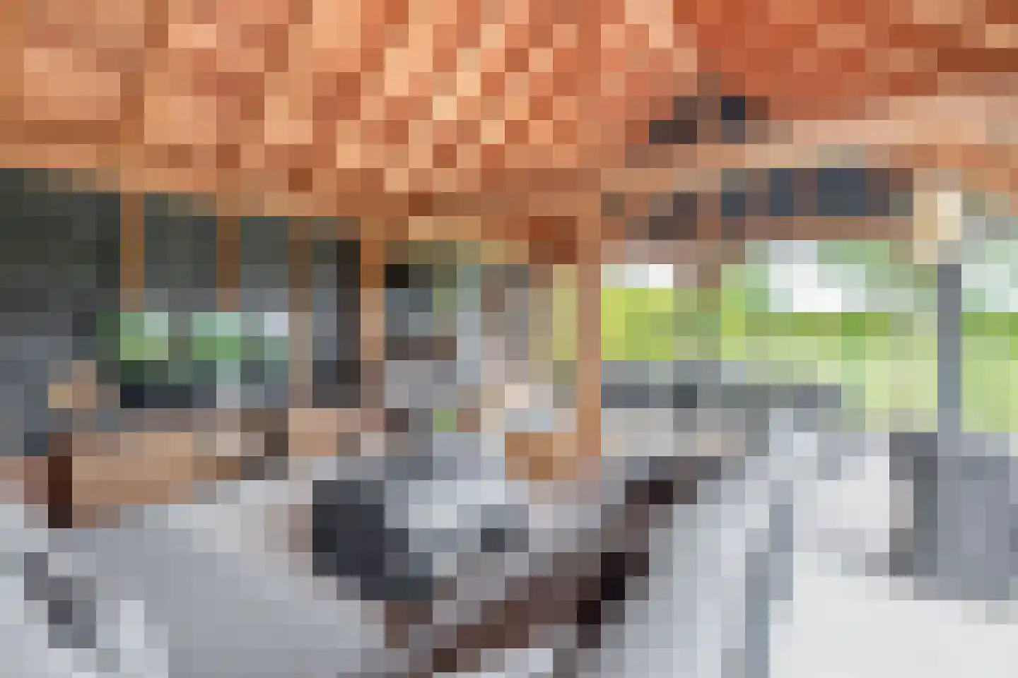 Raadhuisstraat 32 Sprang-Capelle thumbnail 52