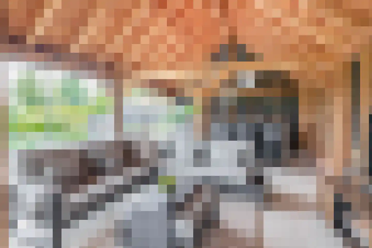 Raadhuisstraat 32 Sprang-Capelle thumbnail 53
