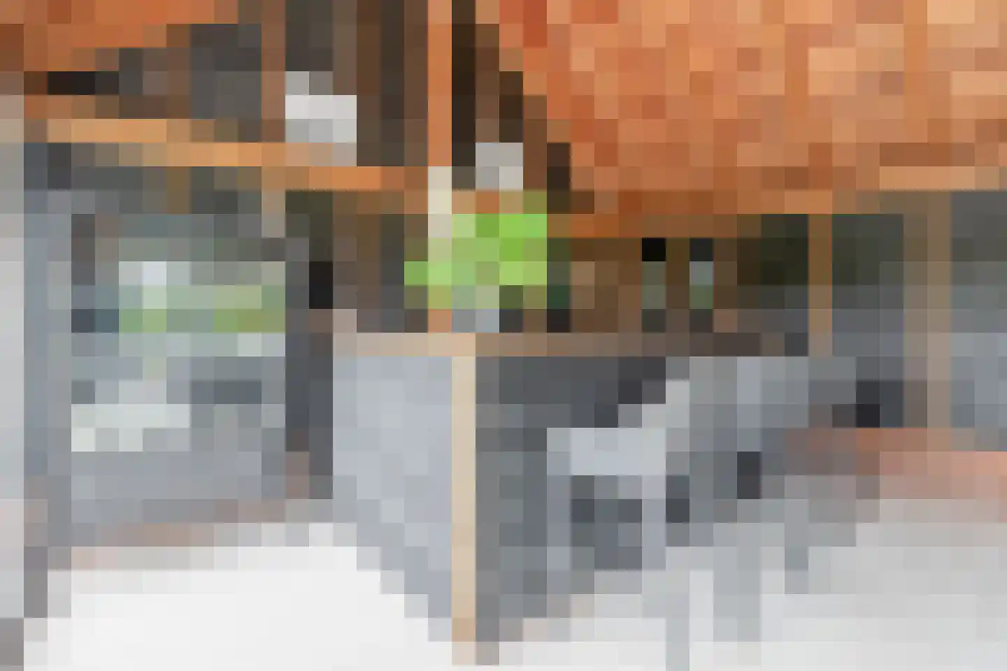Raadhuisstraat 32 Sprang-Capelle thumbnail 55