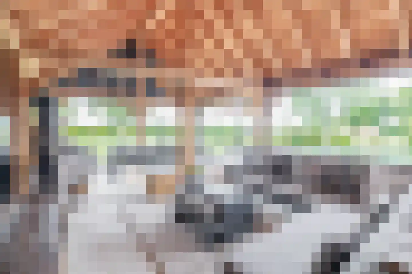 Raadhuisstraat 32 Sprang-Capelle thumbnail 56