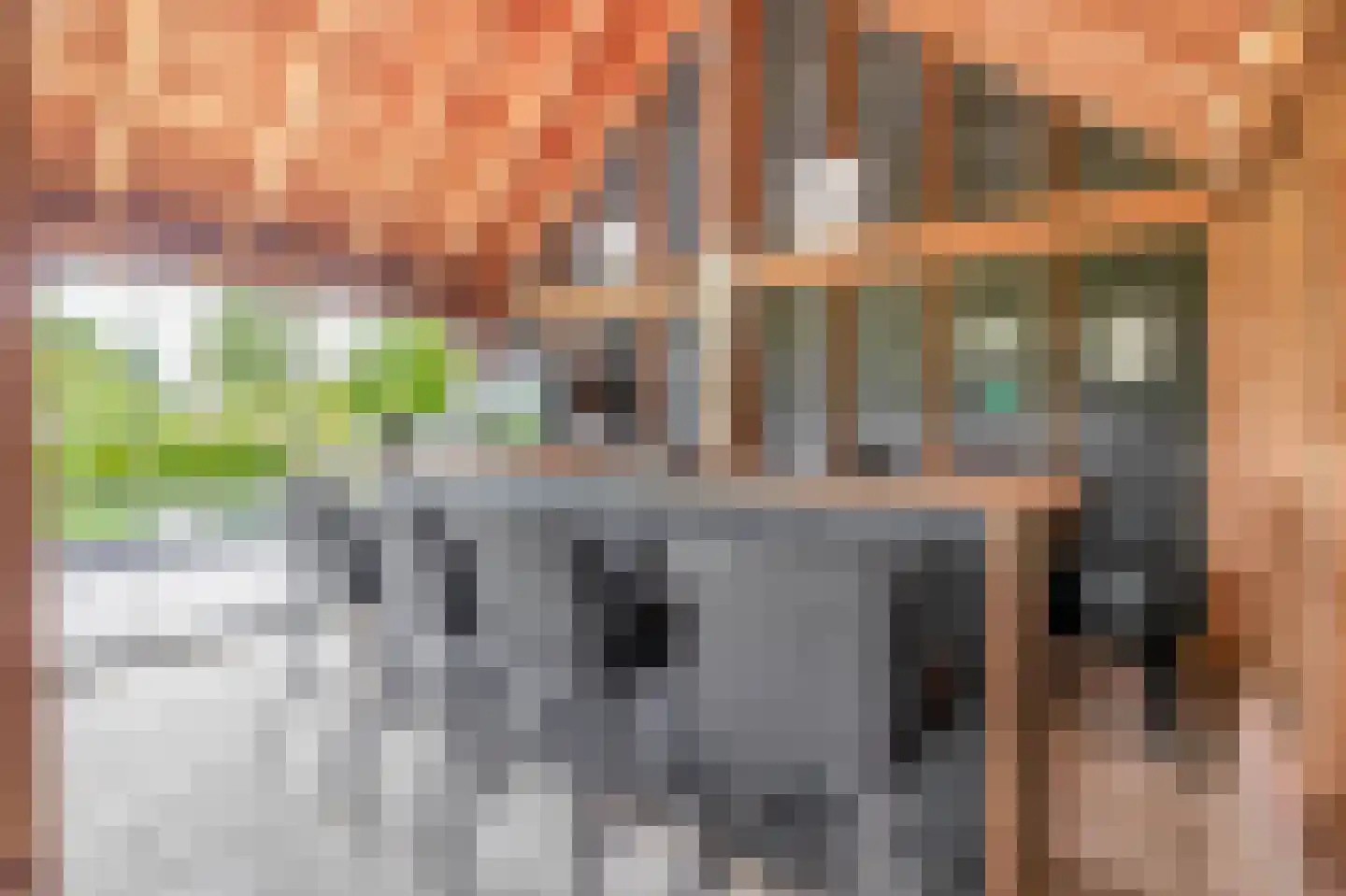 Raadhuisstraat 32 Sprang-Capelle thumbnail 57