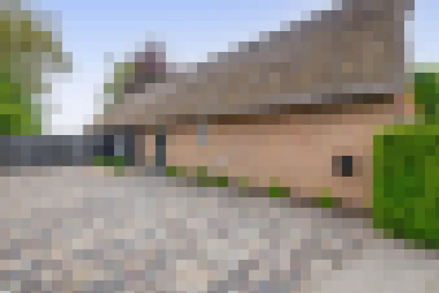 Raadhuisstraat 32 Sprang-Capelle thumbnail 7