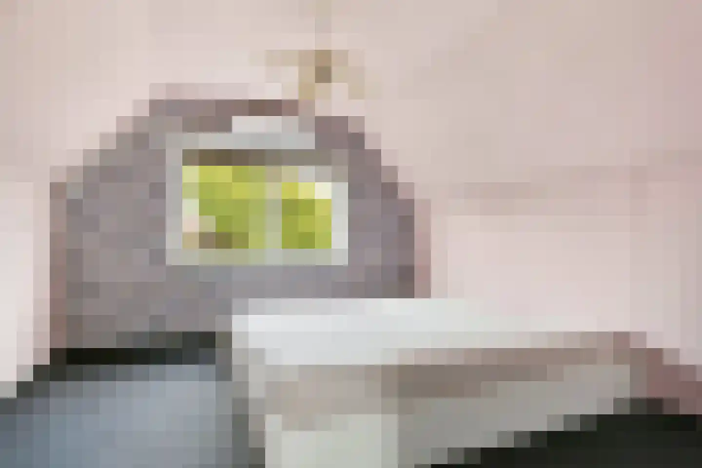 Raadhuisstraat 34 Blijham thumbnail 19