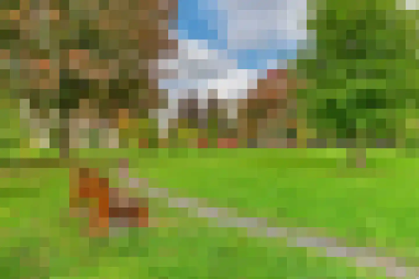 Raadhuisstraat 34 Blijham thumbnail 27