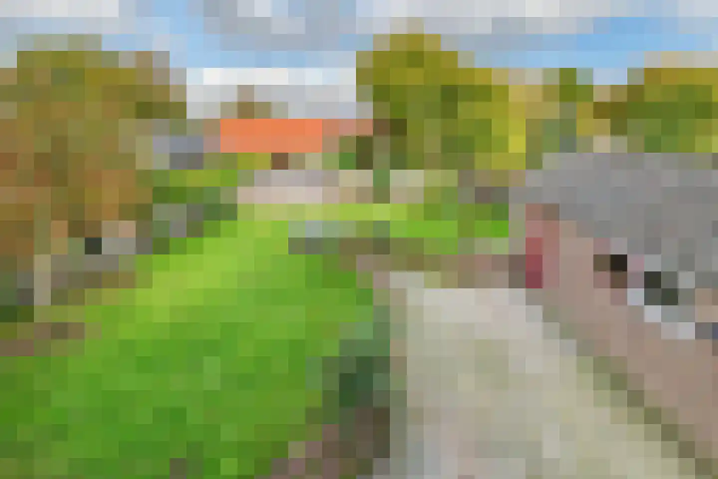 Raadhuisstraat 34 Blijham thumbnail 4