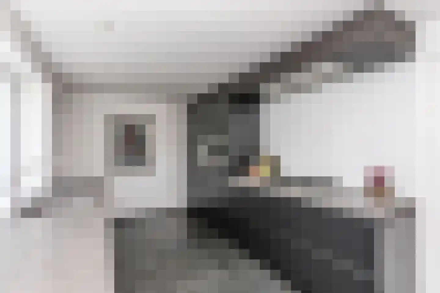 Raadhuisstraat 34 Brunssum thumbnail 7