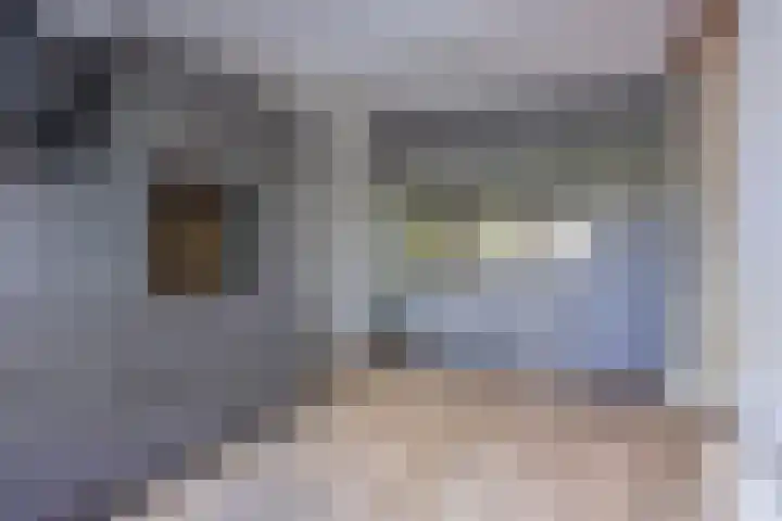 Raadhuisstraat 34 Merkelbeek thumbnail 11