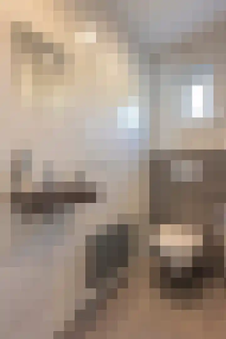 Raadhuisstraat 34 Merkelbeek thumbnail 5