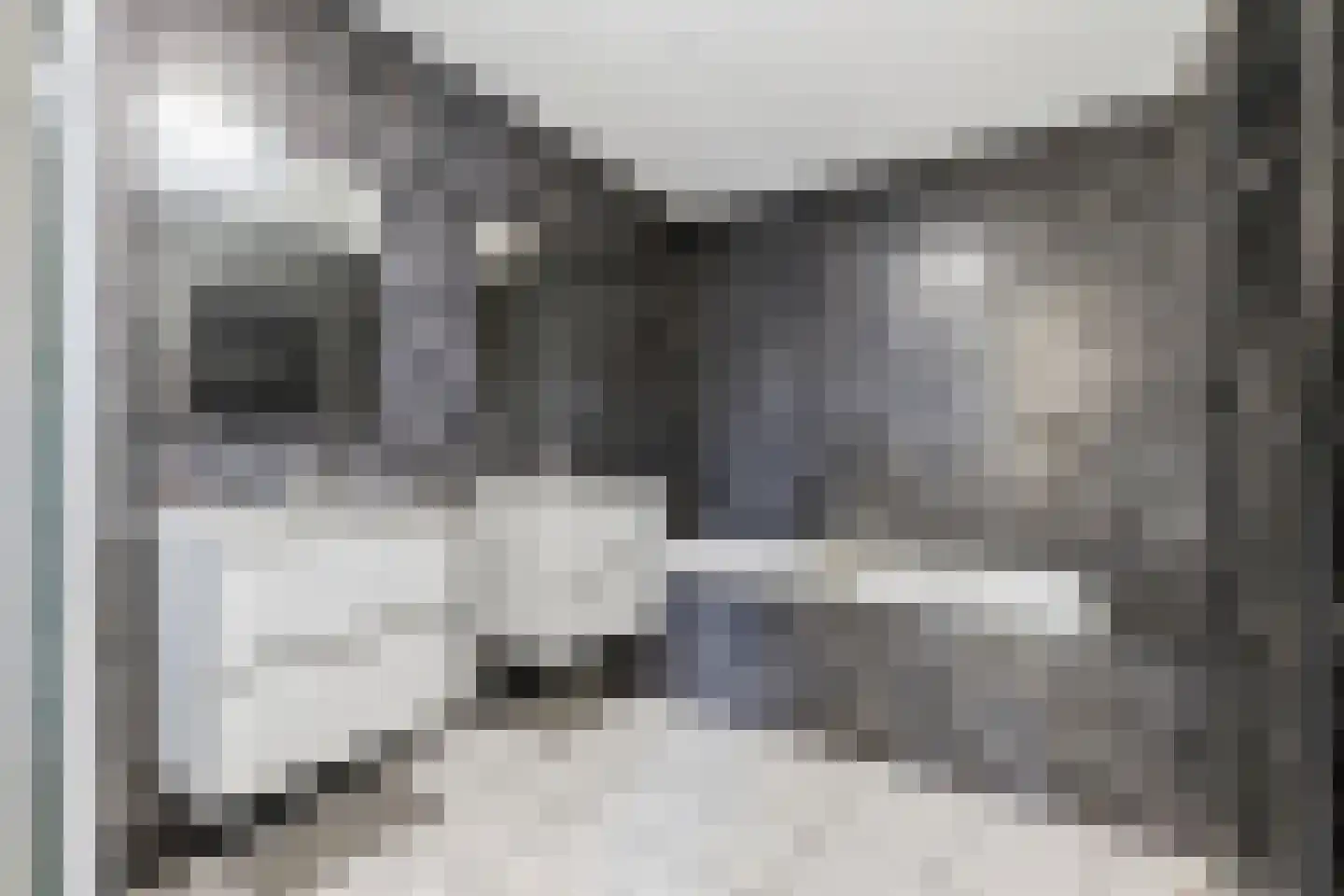 Raadhuisstraat 34 Voorburg thumbnail 20