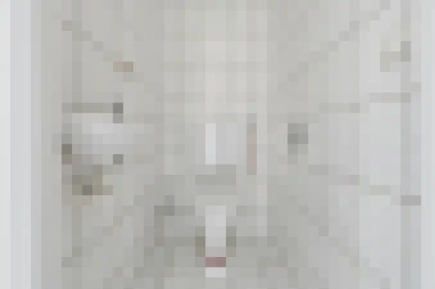Raadhuisstraat 34 Voorburg thumbnail 22