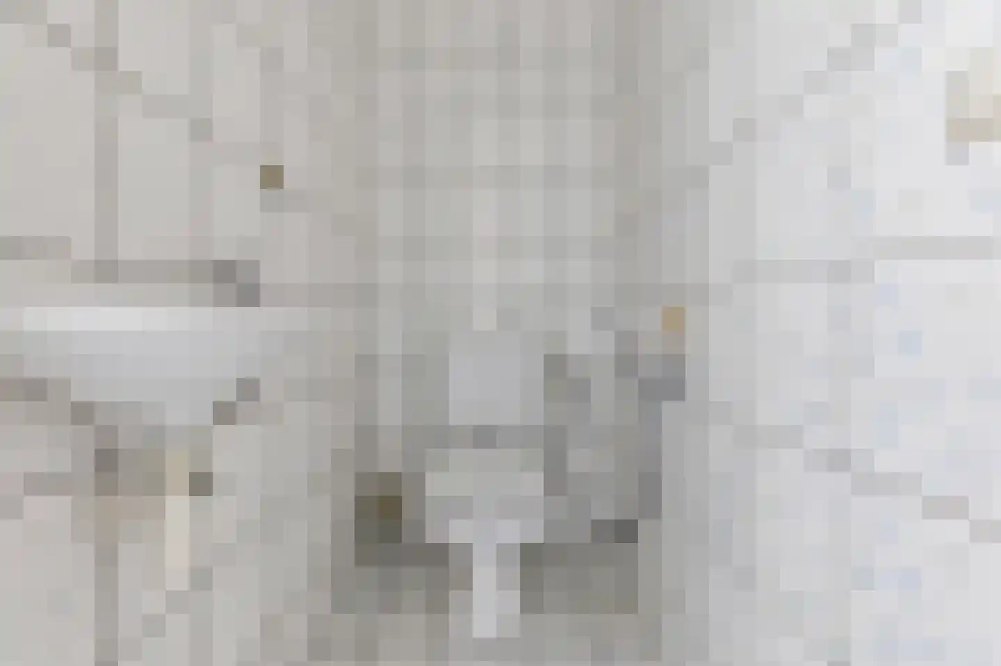 Raadhuisstraat 34 Voorburg thumbnail 25