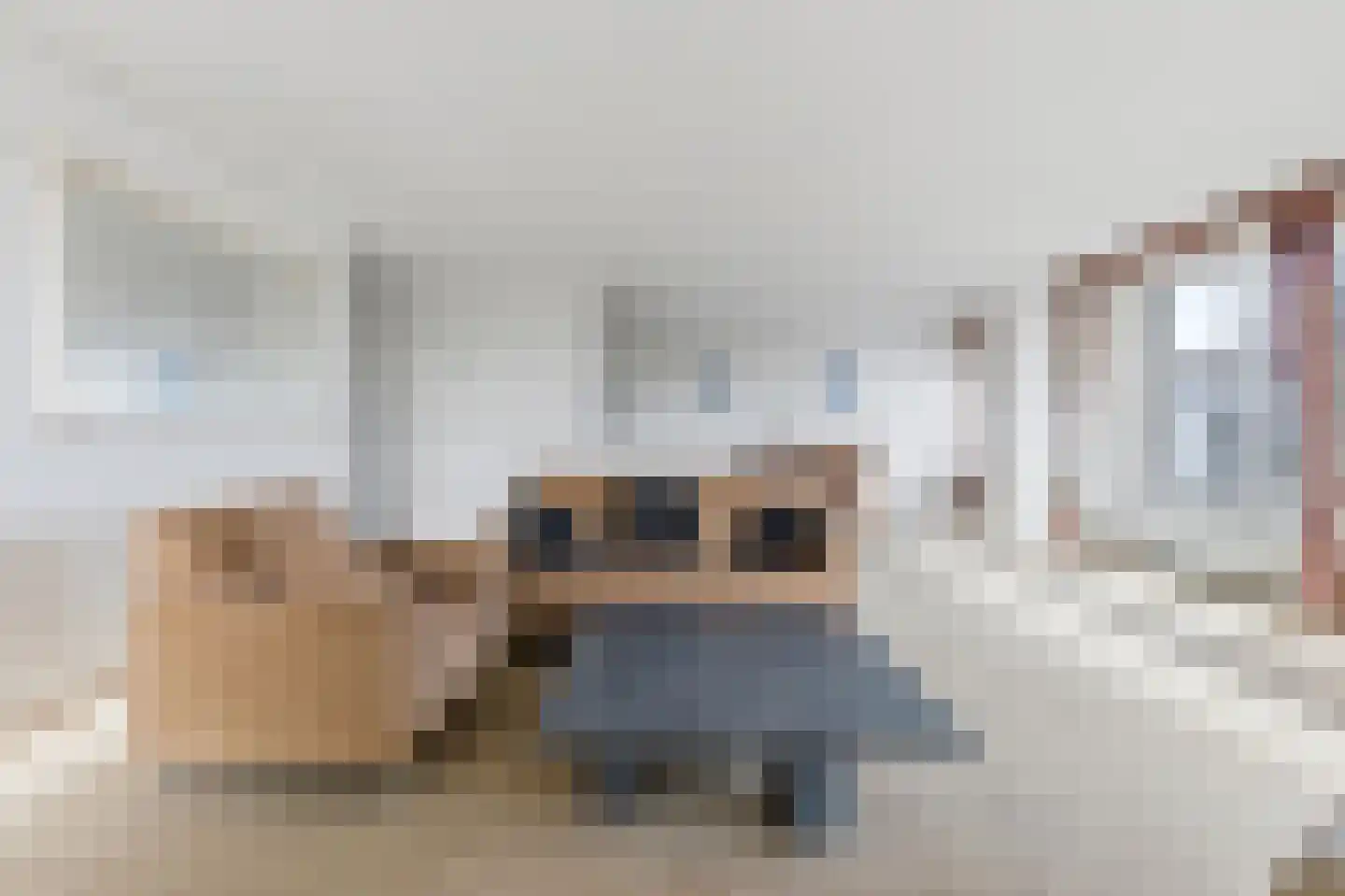 Raadhuisstraat 34 Voorburg thumbnail 9