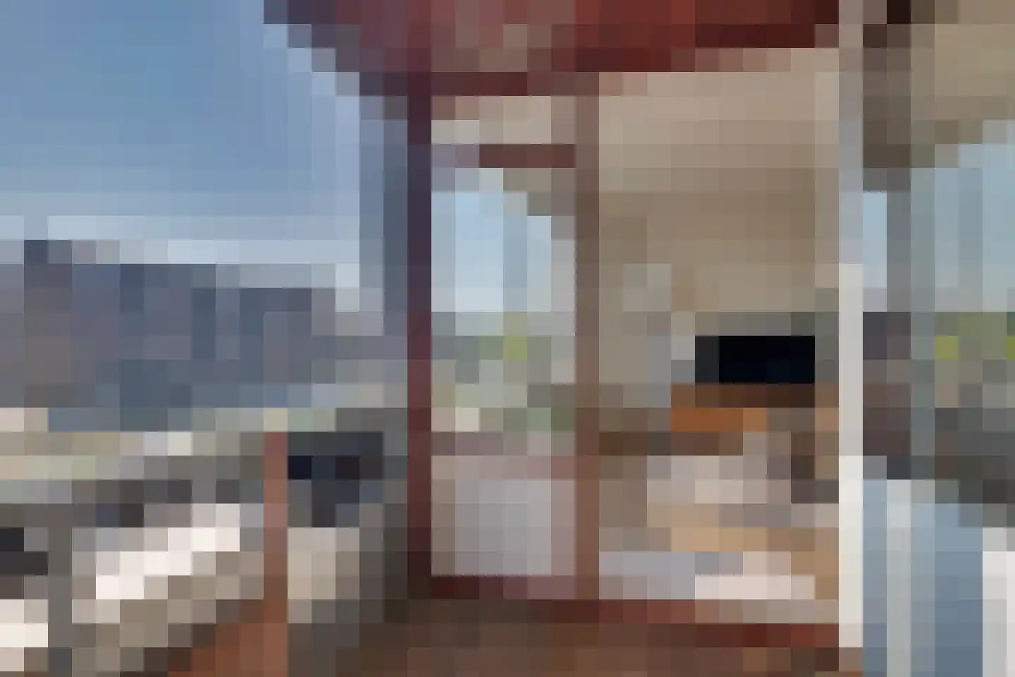 Raadhuisstraat 35 Doetinchem thumbnail 23
