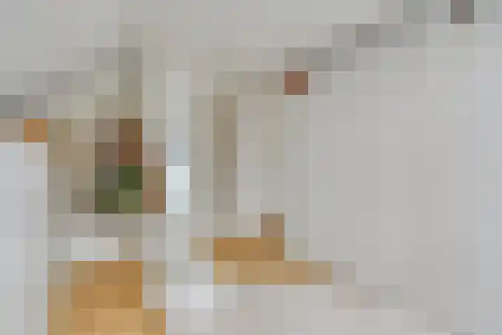 Raadhuisstraat 35 Graft thumbnail 20