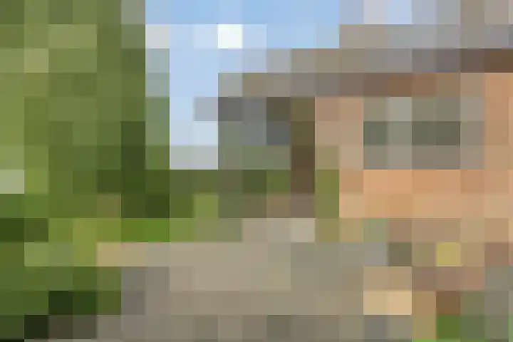Raadhuisstraat 35 Graft thumbnail 26
