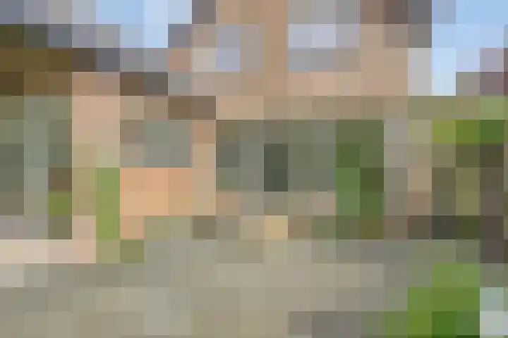 Raadhuisstraat 35 Graft thumbnail 27