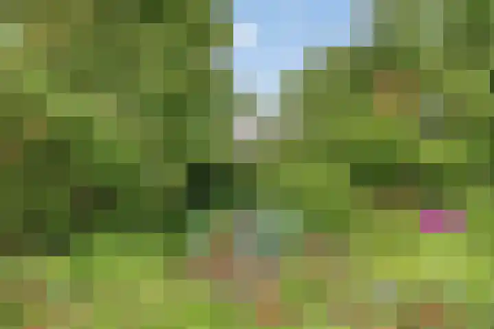 Raadhuisstraat 35 Graft thumbnail 31