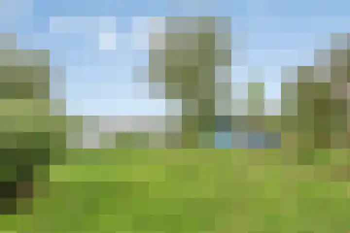 Raadhuisstraat 35 Graft thumbnail 32