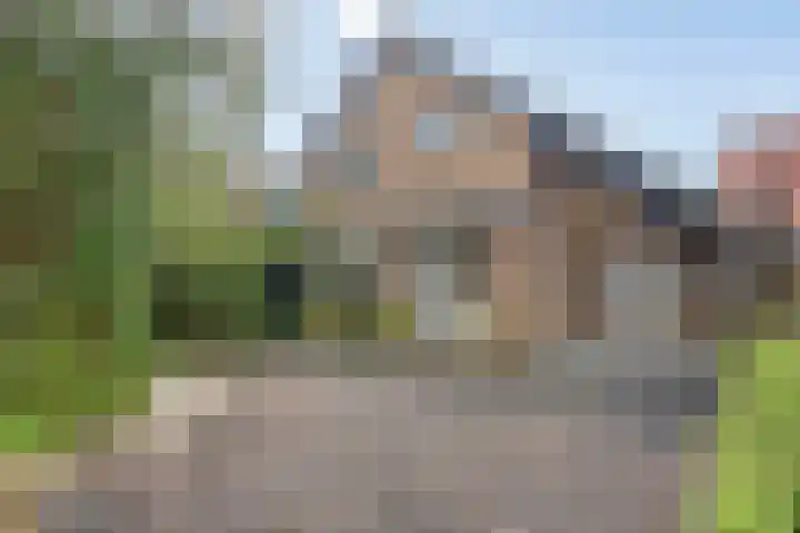 Raadhuisstraat 35 Graft thumbnail 4