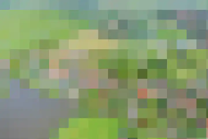 Raadhuisstraat 35 Graft thumbnail 47