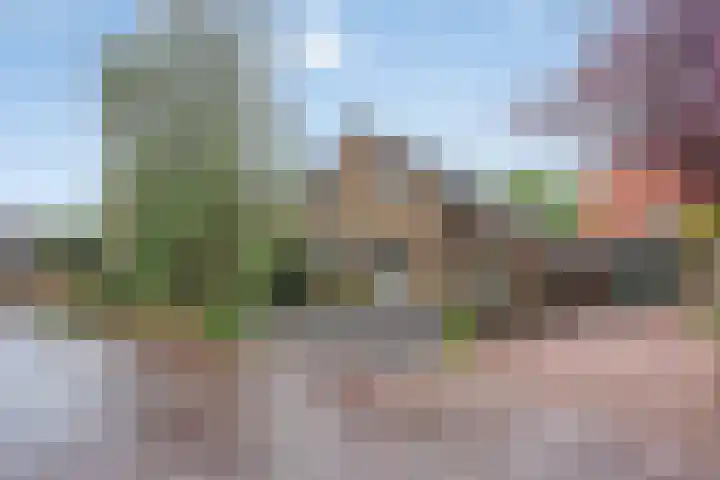 Raadhuisstraat 35 Graft thumbnail 54