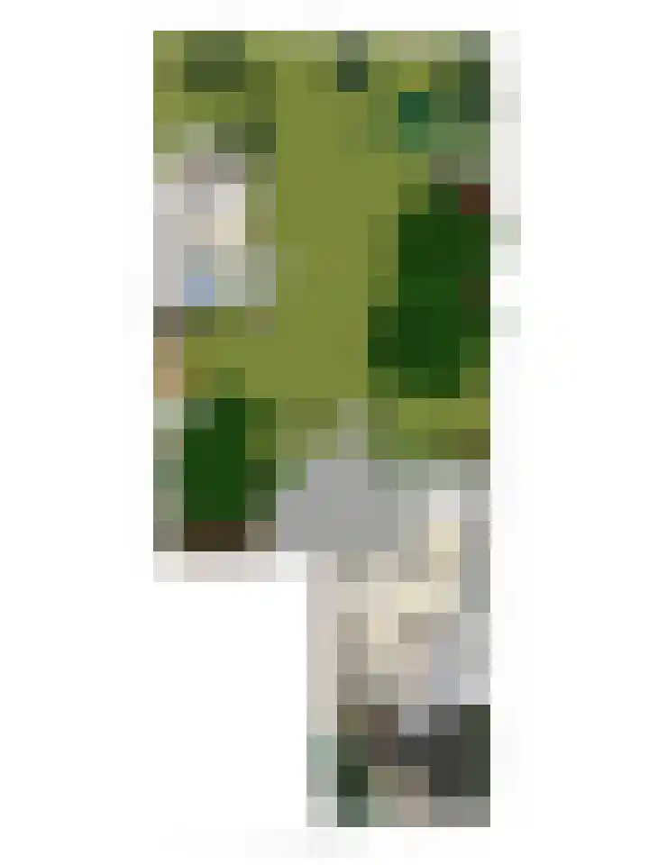 Raadhuisstraat 35 Graft thumbnail 57