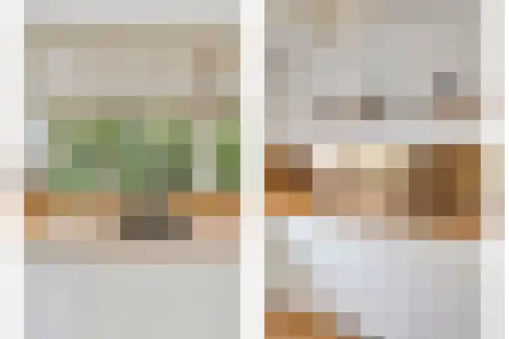 Raadhuisstraat 35 Graft thumbnail 6