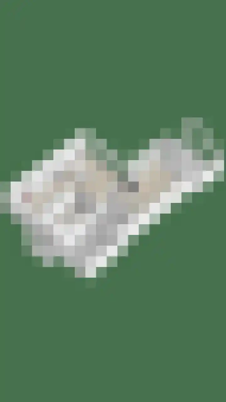 Raadhuisstraat 35 Graft thumbnail 63