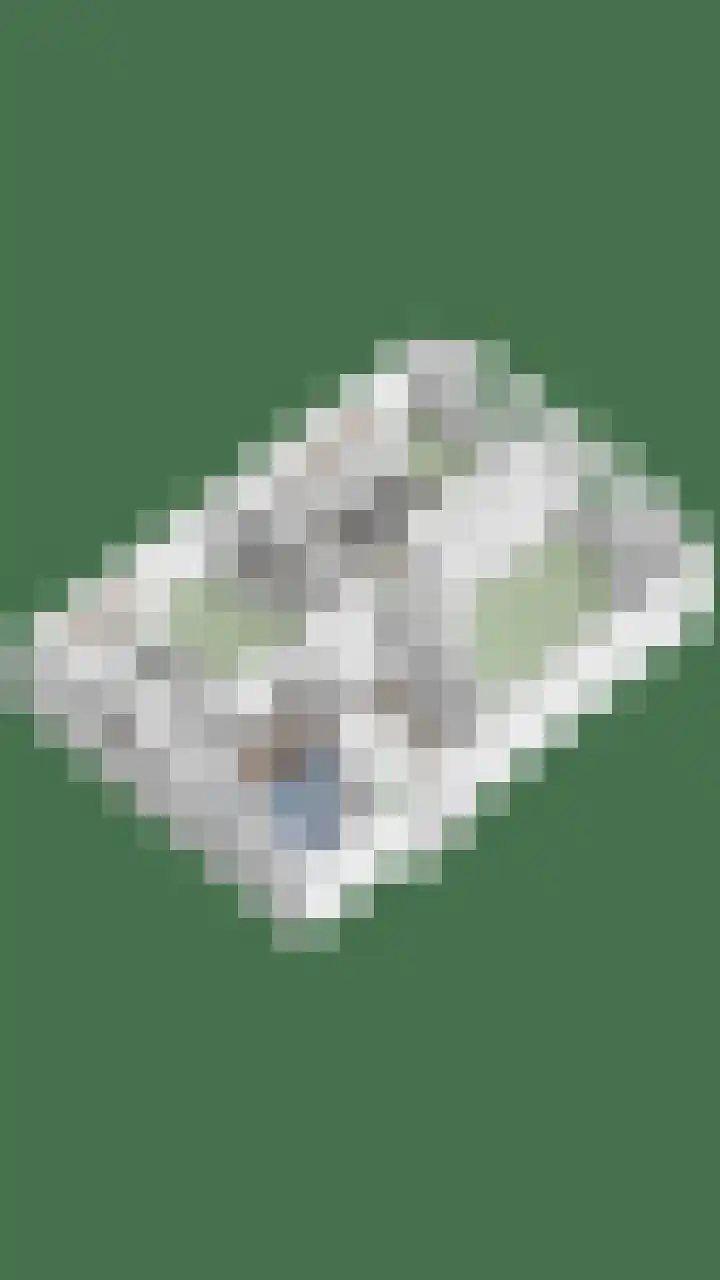 Raadhuisstraat 35 Graft thumbnail 64
