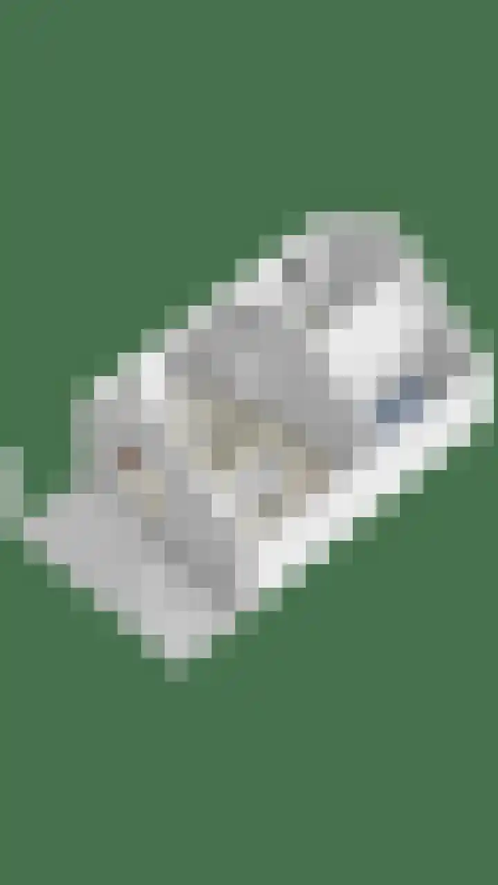 Raadhuisstraat 35 Graft thumbnail 66