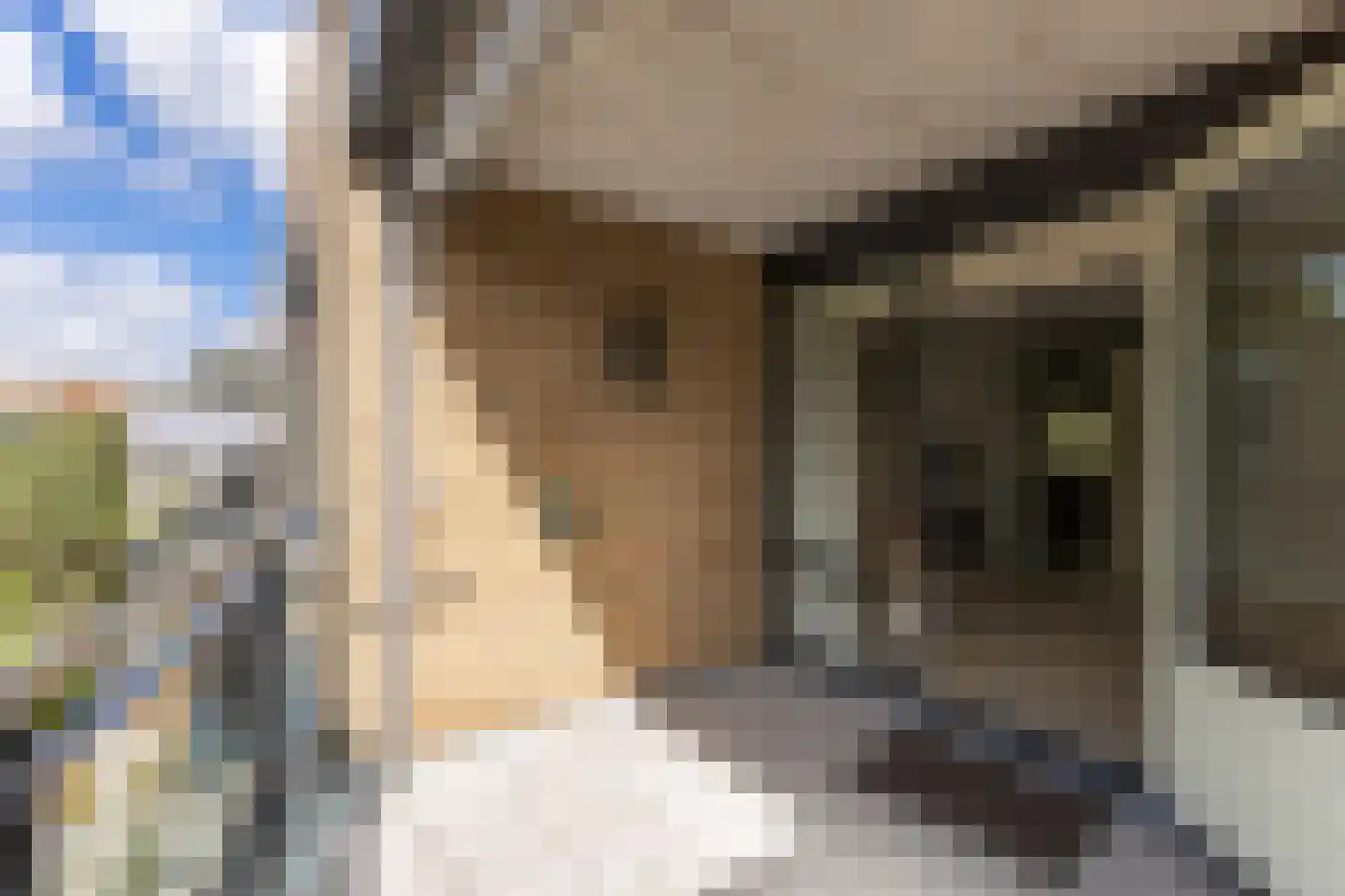 Raadhuisstraat 35 Heemskerk thumbnail 11