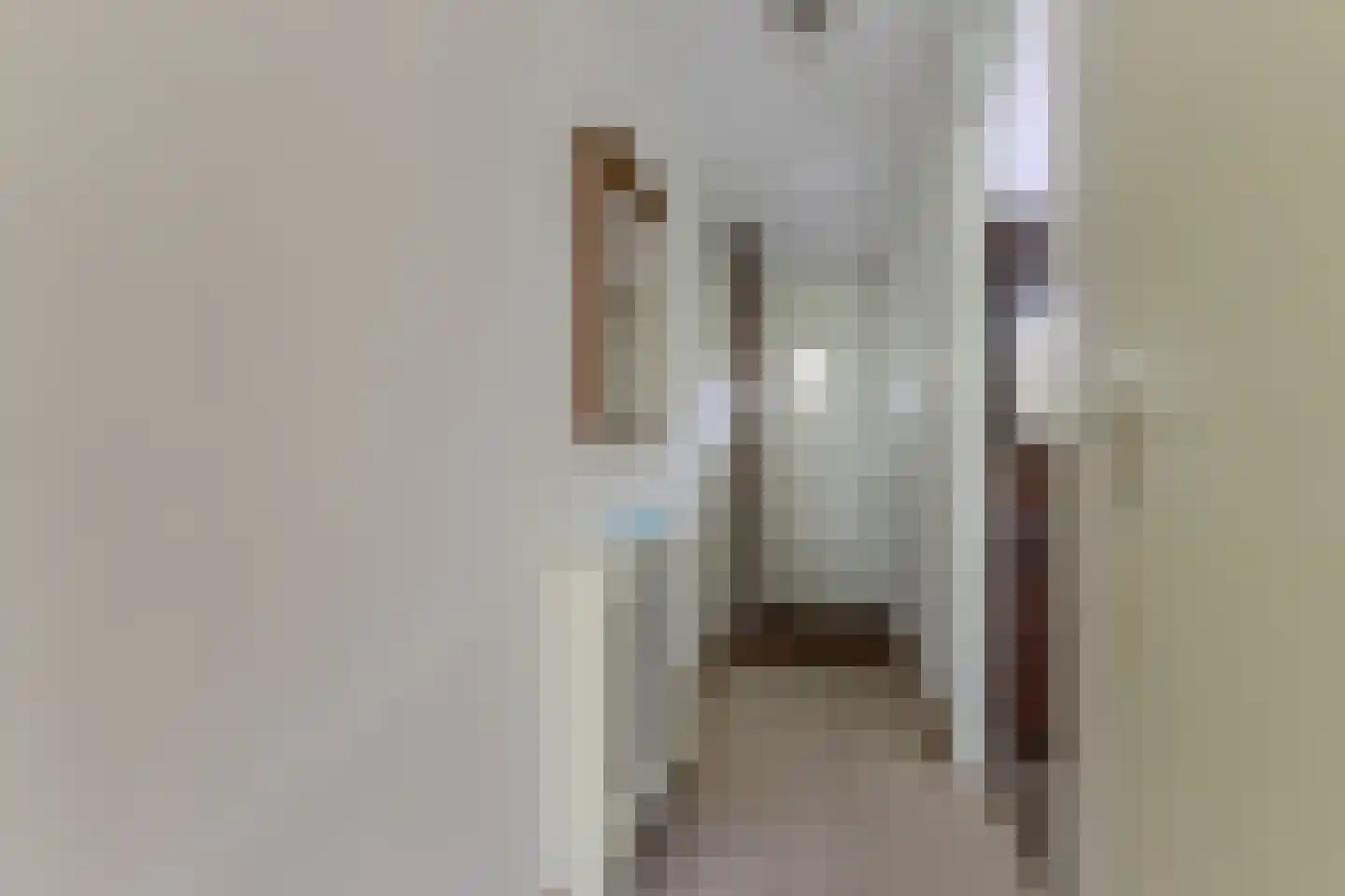 Raadhuisstraat 35 Heemskerk thumbnail 15