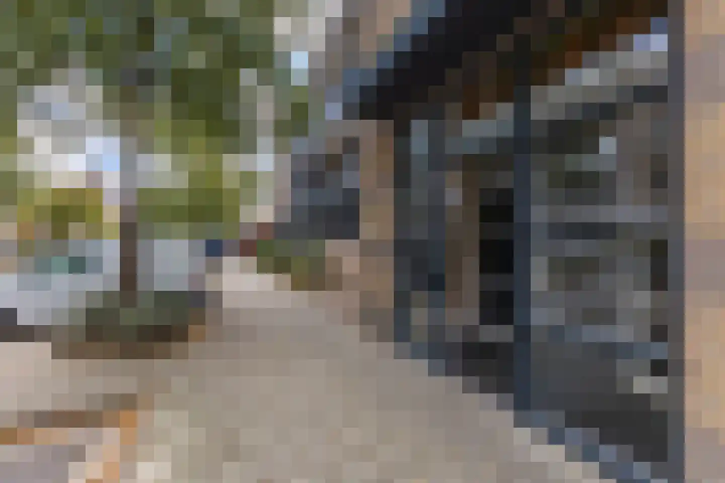 Raadhuisstraat 35 Heemskerk thumbnail 27