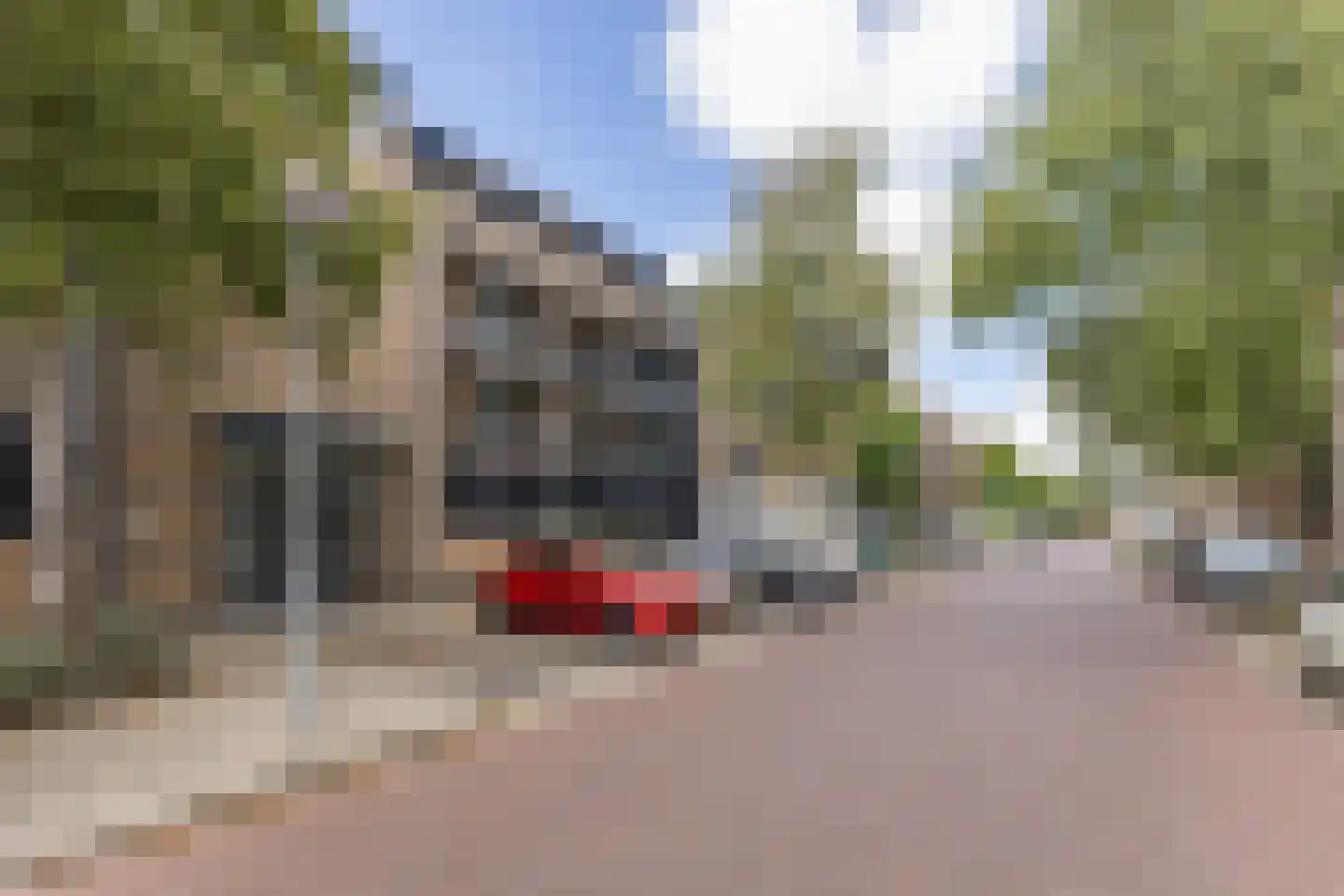 Raadhuisstraat 35 Heemskerk thumbnail 28