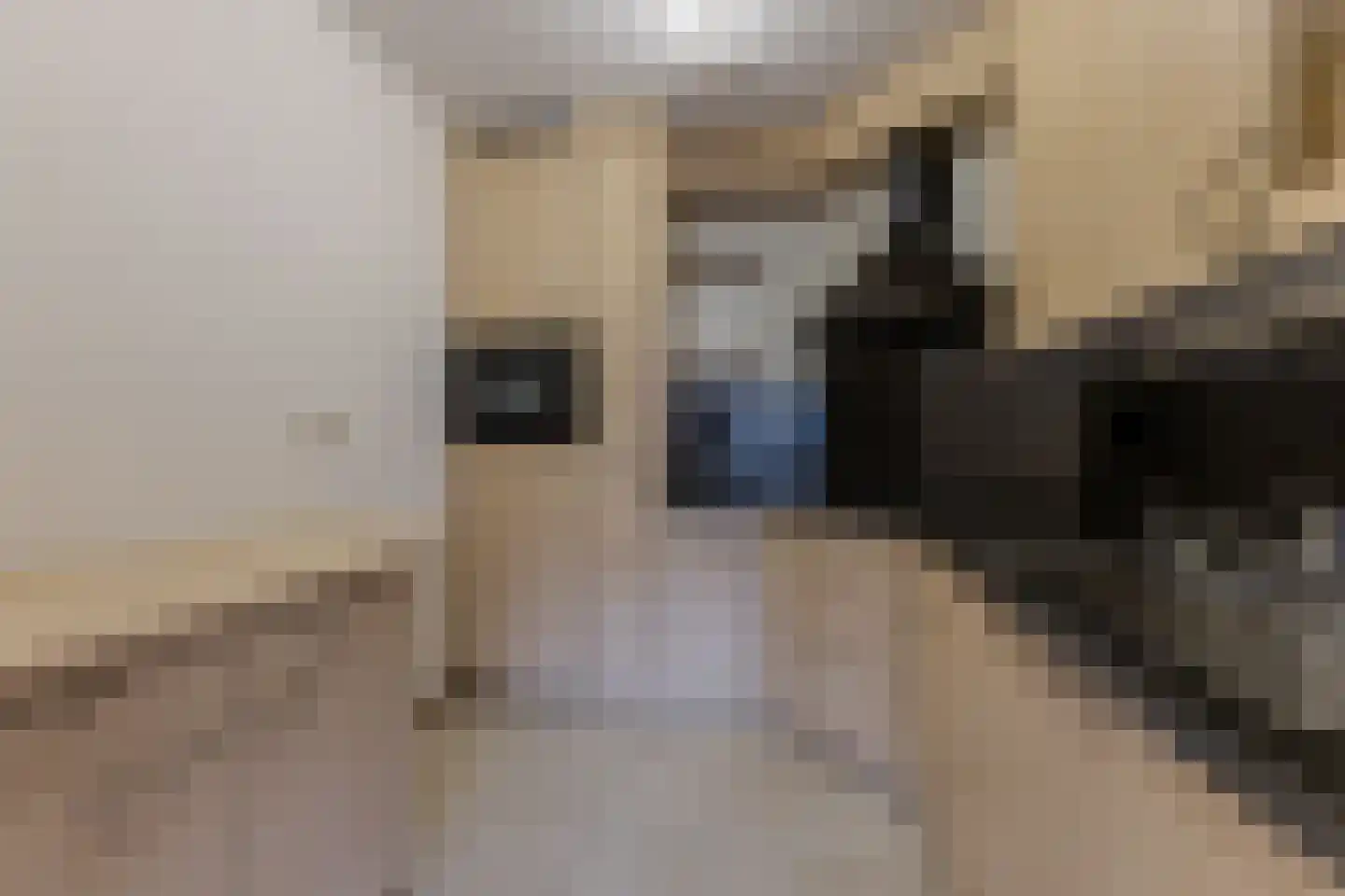 Raadhuisstraat 35 Heemskerk thumbnail 6