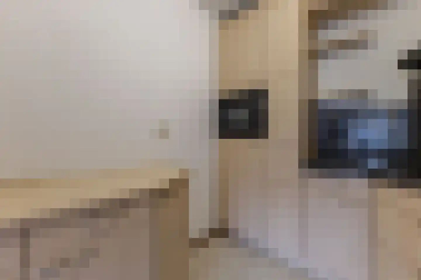 Raadhuisstraat 35 Heemskerk thumbnail 8