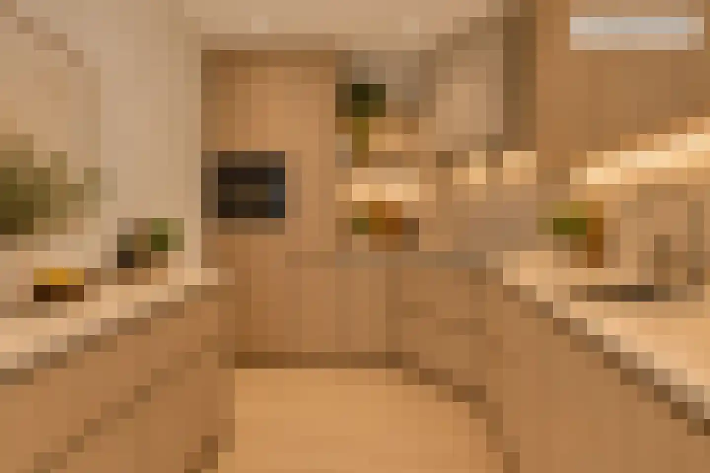 Raadhuisstraat 35 Heemskerk thumbnail 8