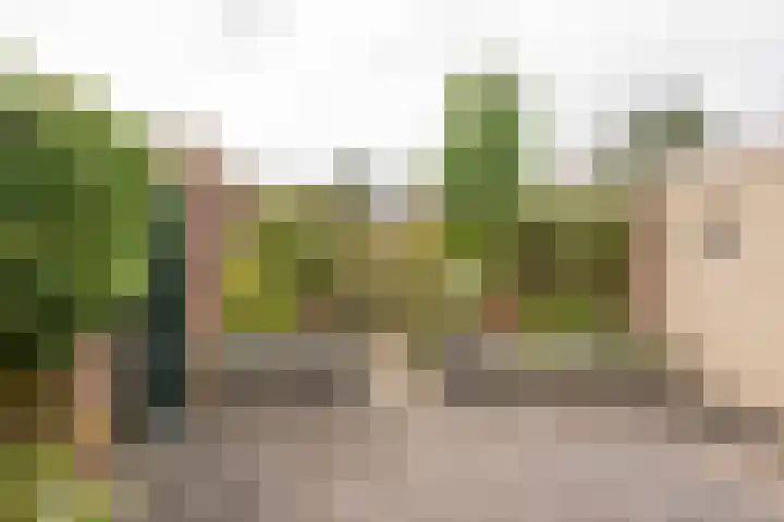 Raadhuisstraat 35 Nijkerk thumbnail 22