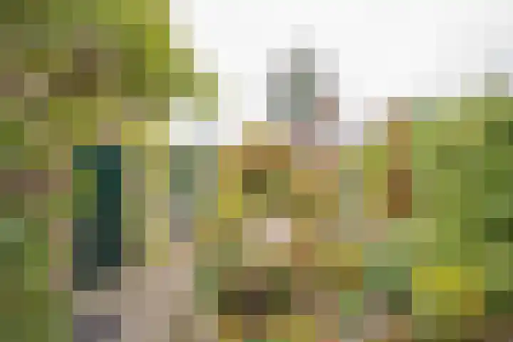 Raadhuisstraat 35 Nijkerk thumbnail 23