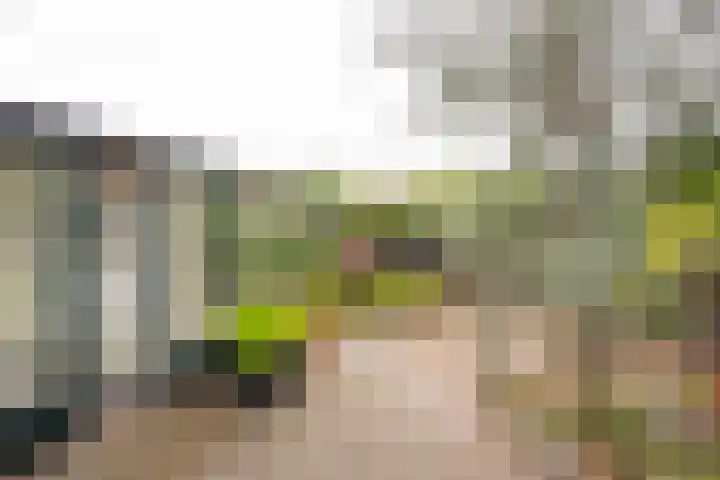 Raadhuisstraat 35 Nijkerk thumbnail 24