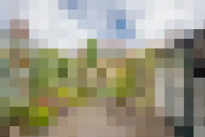 Raadhuisstraat 35 Nijkerk thumbnail 29