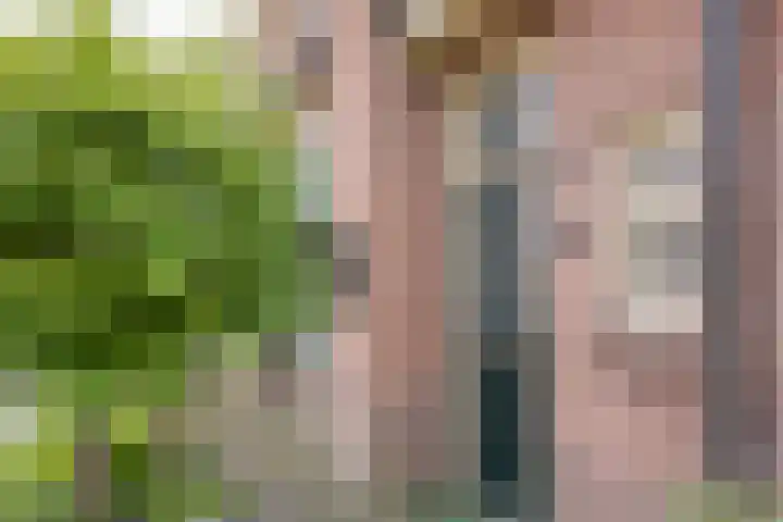Raadhuisstraat 35 Nijkerk thumbnail 32
