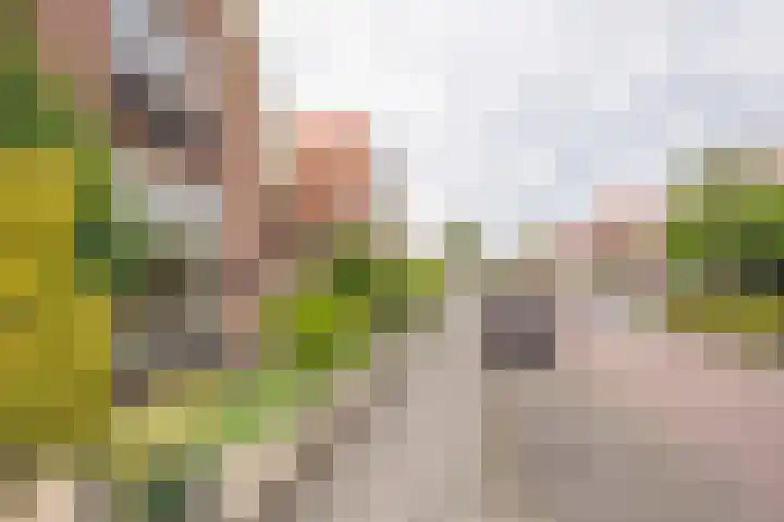 Raadhuisstraat 35 Nijkerk thumbnail 35