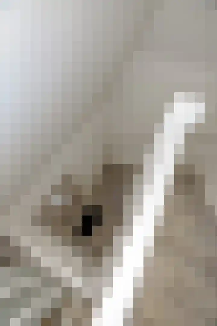 Raadhuisstraat 36 Deurne thumbnail 10