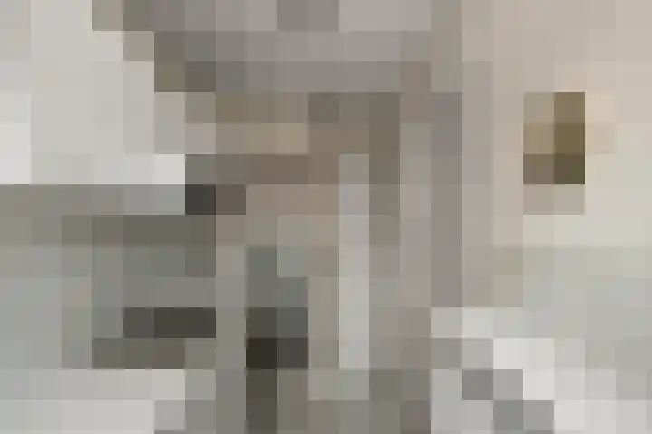Raadhuisstraat 36 Westzaan thumbnail 10